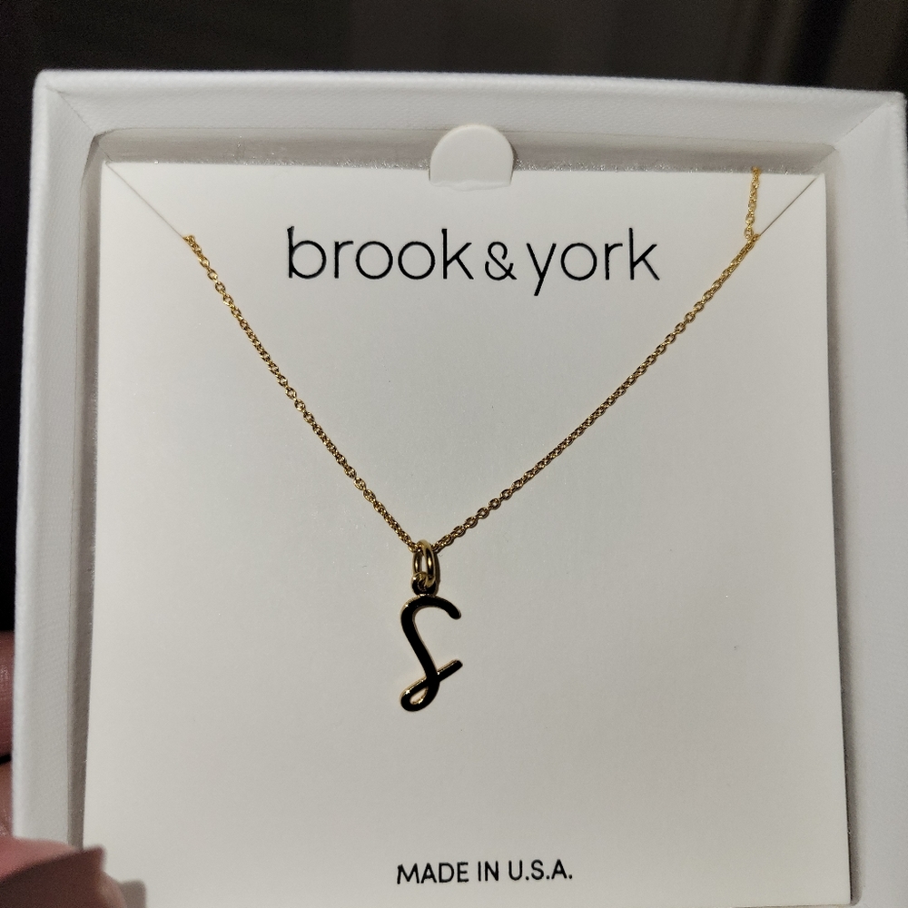 Beautiful and elegant uppercase "s" initial necklace